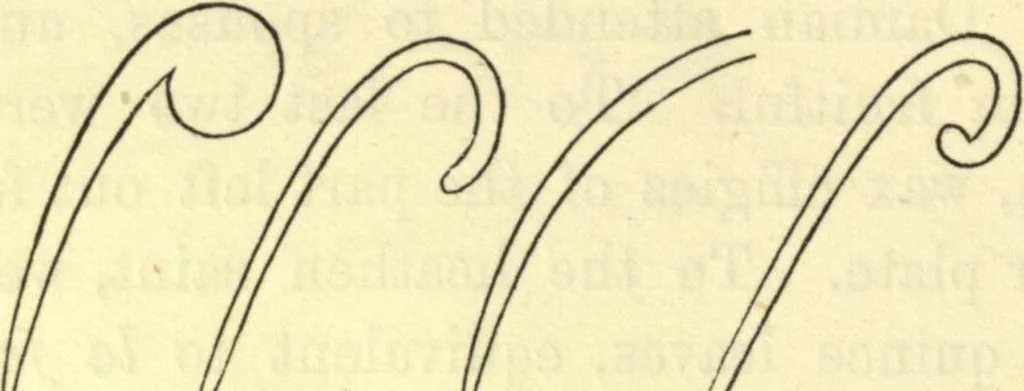 An illustration from Ancient pagan and modern Christian symbolism. With an essay on Baal worship, on the Assyrian sacred "grove" and other allied symbols by John Newton, 1875, leaf 163