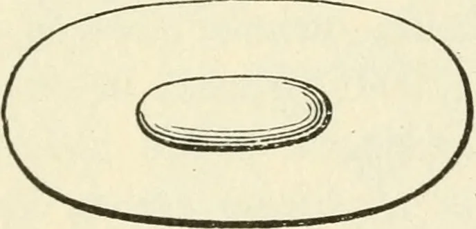 An illustration from Ancient pagan and modern Christian symbolism, 1874, leaf 111