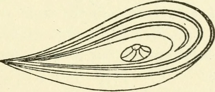 An illustration from Ancient pagan and modern Christian symbolism, 1874, leaf 136