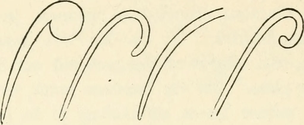 An illustration from Ancient pagan and modern Christian symbolism, 1874, leaf 147