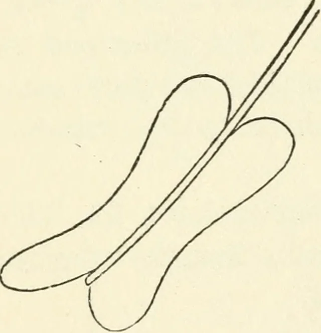 An illustration from Ancient pagan and modern Christian symbolism, 1874, leaf 147