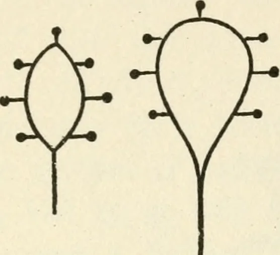 An illustration from Ancient pagan and modern Christian symbolism, 1874, leaf 159