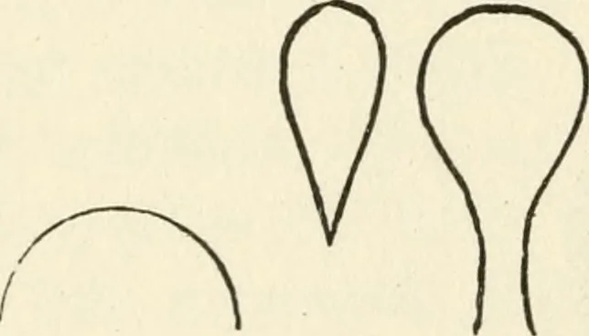 An illustration from Ancient pagan and modern Christian symbolism, 1874, leaf 159