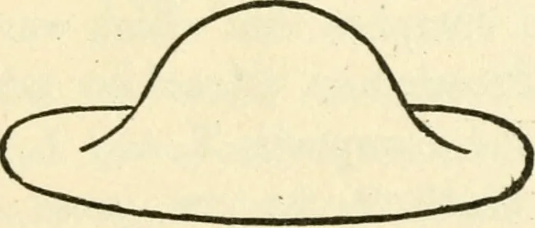 An illustration from Ancient pagan and modern Christian symbolism, 1874, leaf 94
