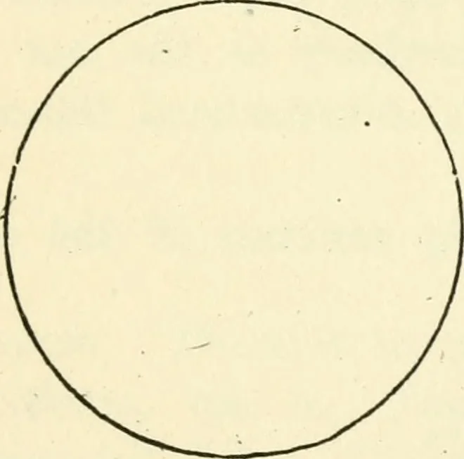 An illustration from Ancient pagan and modern Christian symbolism, 1874, leaf 96