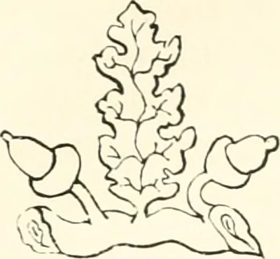 An illustration from The ancient sepulchral effigies and monumental and memorial sculpture of Devon, 1877, leaf 115