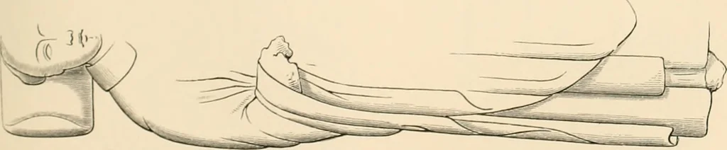 An illustration from The ancient sepulchral effigies and monumental and memorial sculpture of Devon, 1877, leaf 470