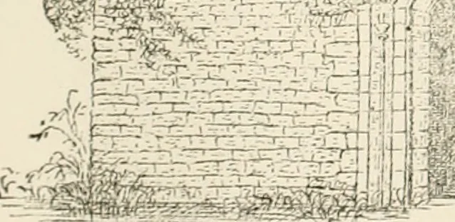 An illustration from The ancient sepulchral effigies and monumental and memorial sculpture of Devon, 1877, leaf 572