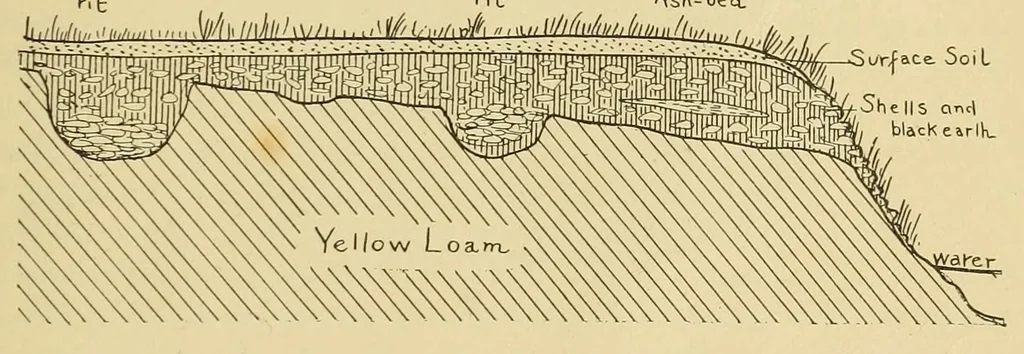 An illustration from Ancient shell heaps near New York City, 1909, leaf 5