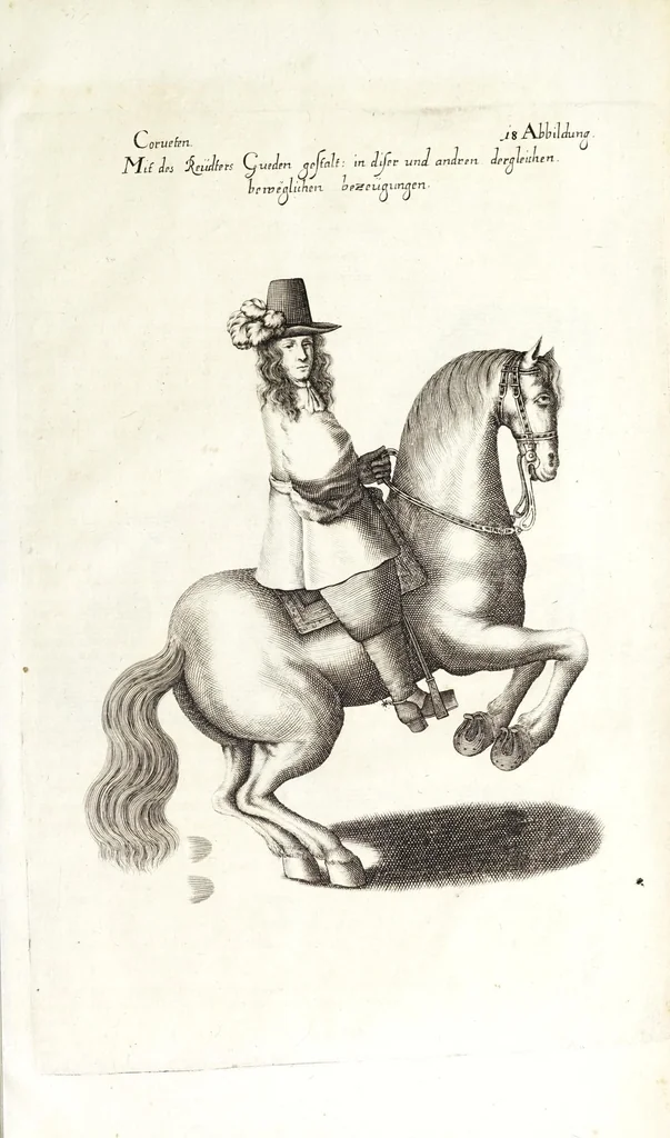 An illustration from Ander Haupt-Theil des vollkommenen ergäntzten Pferd-Schatzes : dessen I. Inhalt auf den Reuter und desselben Bezeigungen zielend, als die nothwendige Theoria in dess Reuters Unterweisungsart ... : wie der 2. Inhalt auf das Pferd und desselben Bezeigungen in aller Abrichtung gerichtet, 1664, leaf 225