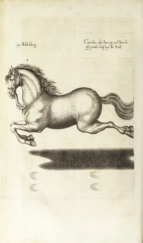 An illustration from Ander Haupt-Theil des vollkommenen ergäntzten Pferd-Schatzes : dessen I. Inhalt auf den Reuter und desselben Bezeigungen zielend, als die nothwendige Theoria in dess Reuters Unterweisungsart ... : wie der 2. Inhalt auf das Pferd und desselben Bezeigungen in aller Abrichtung gerichtet, 1664, leaf 234