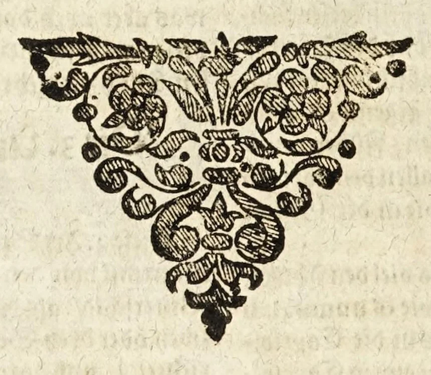 An illustration from Ander Haupt-Theil des vollkommenen ergäntzten Pferd-Schatzes : dessen I. Inhalt auf den Reuter und desselben Bezeigungen zielend, als die nothwendige Theoria in dess Reuters Unterweisungsart ... : wie der 2. Inhalt auf das Pferd und desselben Bezeigungen in aller Abrichtung gerichtet, 1664, leaf 240