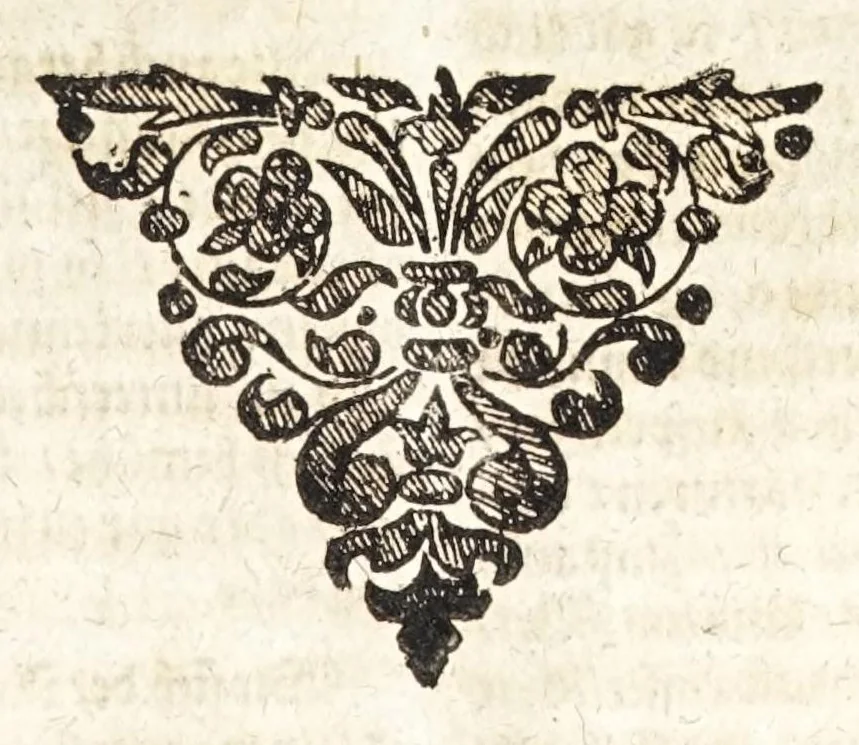 An illustration from Ander Haupt-Theil des vollkommenen ergäntzten Pferd-Schatzes : dessen I. Inhalt auf den Reuter und desselben Bezeigungen zielend, als die nothwendige Theoria in dess Reuters Unterweisungsart ... : wie der 2. Inhalt auf das Pferd und desselben Bezeigungen in aller Abrichtung gerichtet, 1664, leaf 35