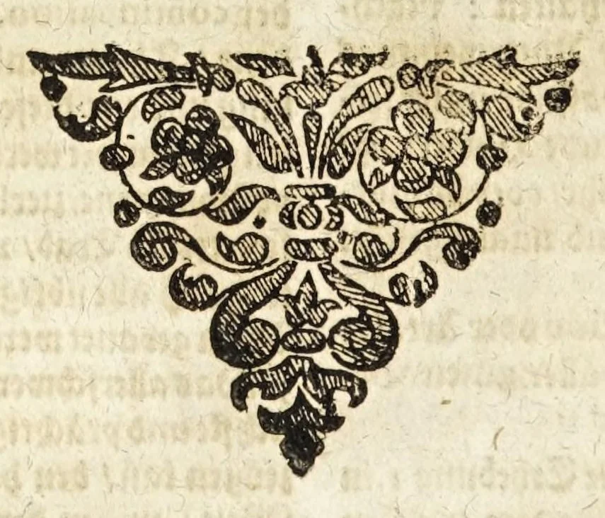 An illustration from Ander Haupt-Theil des vollkommenen ergäntzten Pferd-Schatzes : dessen I. Inhalt auf den Reuter und desselben Bezeigungen zielend, als die nothwendige Theoria in dess Reuters Unterweisungsart ... : wie der 2. Inhalt auf das Pferd und desselben Bezeigungen in aller Abrichtung gerichtet, 1664, leaf 64