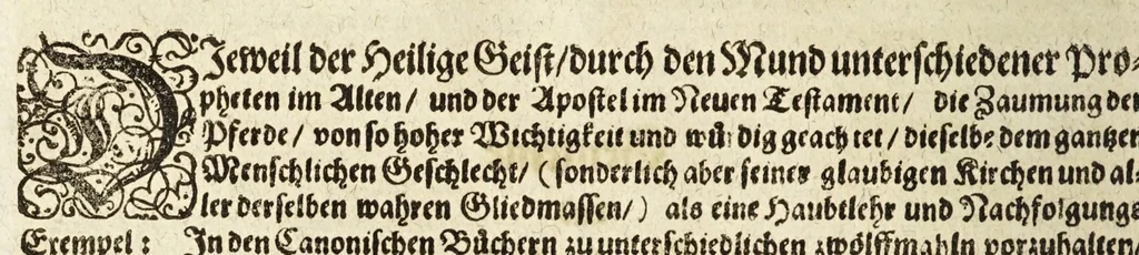 An illustration from Ander Haupt-Theil des vollkommenen ergäntzten Pferd-Schatzes : dessen I. Inhalt auf den Reuter und desselben Bezeigungen zielend, als die nothwendige Theoria in dess Reuters Unterweisungsart ... : wie der 2. Inhalt auf das Pferd und desselben Bezeigungen in aller Abrichtung gerichtet, 1664, leaf 66