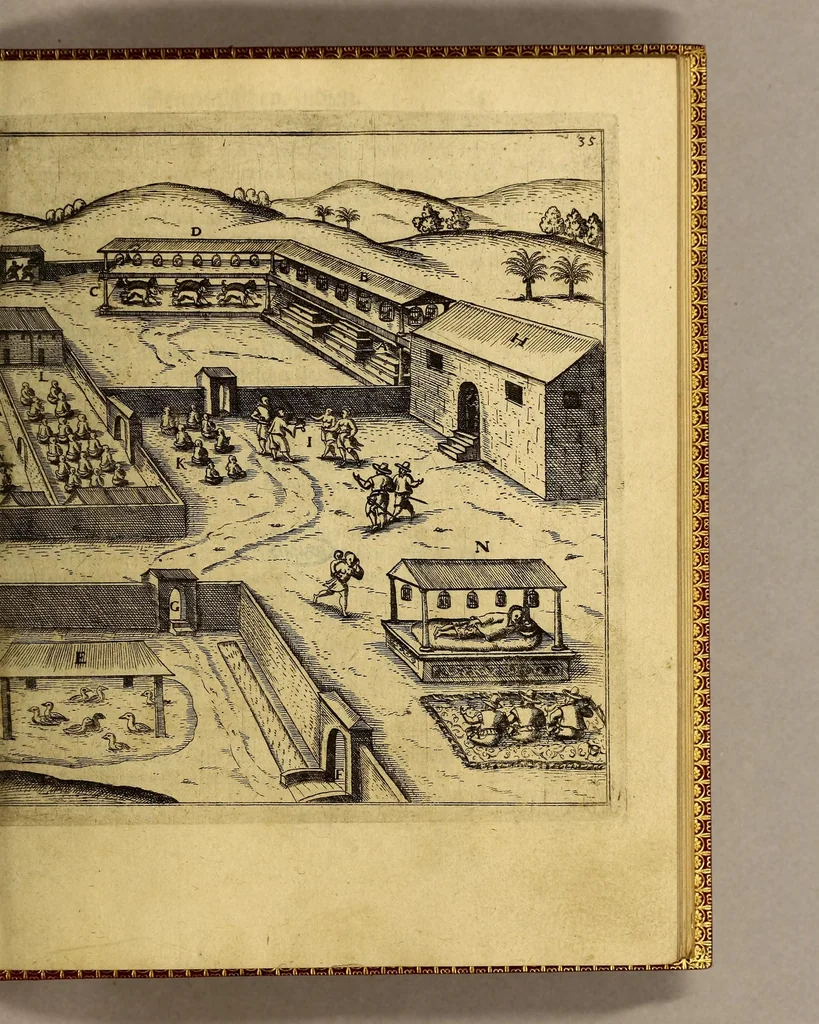 An illustration from Ander Schiffart[.] In die Orientalische Indien, so die holländische Schieff (welche im Martio 1598. aussgefahren, dauon die 2. letzste im Mayo 1600. mit grossem Schatz von Würtz wider kommen seynd) verrichtet. : Darin[n] kürtzlich, doch warhafftiglich, der gantze Success der Reyse, erzehlet wirdt. Mit etlichen nötigen Erklärung, Carten vnd Figuren gezieret,, 1615, leaf 51