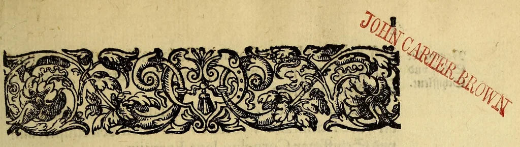An illustration from Ander Schiffart[.] In die Orientalische Indien, so die holländische Schieff (welche im Martio 1598. aussgefahren, dauon die 2. letzste im Mayo 1600. mit grossem Schatz von Würtz wider kommen seynd) verrichtet. : Darin[n] kürtzlich, doch warhafftiglich, der gantze Success der Reyse, erzehlet wirdt. Mit etlichen nötigen Erklärung, Carten vnd Figuren gezieret,, 1615, leaf 9