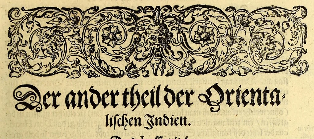 An illustration from Ander Theil der Orientalischen Indien, Von allen Völckern, Insulen, Meerporten, fliessenden Wassern vnd anderen Orten, so von Portugal auss, lengst dem Gestaden Aphrica, biss in Ost Indien vnd zu dem Landt China, sampt andern Insulen zu sehen seynd. : Beneben derenselben Aberglauben, Götzendienst vnd Tempeln, item von ihren Sitten, Trachten, Kleidungen, Policeyordnung, vnd wie sie hausshalten, beid so viel die Portugesen, welche da im Landt wohnen, vnd auch das inheimische Landvölcklein anlangt. Dessgleichen von der Residentz dess Spanischen Viceroys vnd anderer Spanier in Goa, item von allen Orientalischen, Indianischen Waaren vnd Kummerschafften: sampt deren Gewichten, Masen, Müntzen vnd ihrem Valor oder Wirdtgung., 1613, leaf 11
