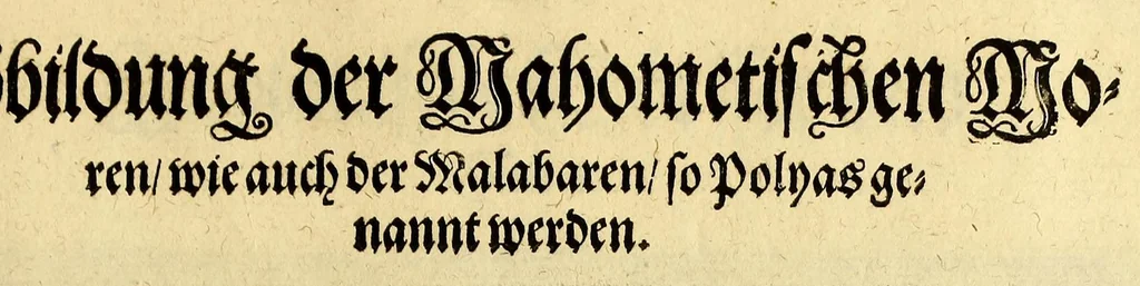 An illustration from Ander Theil der Orientalischen Indien, Von allen Völckern, Insulen, Meerporten, fliessenden Wassern vnd anderen Orten, so von Portugal auss, lengst dem Gestaden Aphrica, biss in Ost Indien vnd zu dem Landt China, sampt andern Insulen zu sehen seynd. : Beneben derenselben Aberglauben, Götzendienst vnd Tempeln, item von ihren Sitten, Trachten, Kleidungen, Policeyordnung, vnd wie sie hausshalten, beid so viel die Portugesen, welche da im Landt wohnen, vnd auch das inheimische Landvölcklein anlangt. Dessgleichen von der Residentz dess Spanischen Viceroys vnd anderer Spanier in Goa, item von allen Orientalischen, Indianischen Waaren vnd Kummerschafften: sampt deren Gewichten, Masen, Müntzen vnd ihrem Valor oder Wirdtgung., 1613, leaf 195