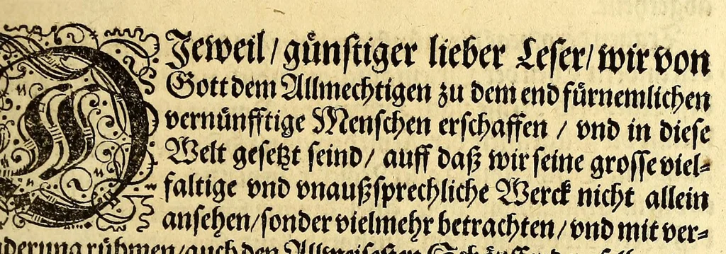 An illustration from Ander Theil der Orientalischen Indien, Von allen Völckern, Insulen, Meerporten, fliessenden Wassern vnd anderen Orten, so von Portugal auss, lengst dem Gestaden Aphrica, biss in Ost Indien vnd zu dem Landt China, sampt andern Insulen zu sehen seind. : Beneben derenselben Aberglauben, Götzendienst vnd Tempeln, item von jren Sitten, Trachten, Kleidungen, Policeyordnung, vnd wie sie hausshalten, beid so viel die Portugesen, welche dam im Landt wohnen, vnd auch das inheimische Landvölcklein anlangt. Dessgleichen von der Residentz dess Spanischen Viceroys vnd anderer Spanier in Goa, item von allen Orientalischen, Indianischen Waaren vnd Kummerschafften: sampt deren Gewichten, Masen, Müntzen vnd ihrem Valor oder Wirdtgung., 1598, leaf 11