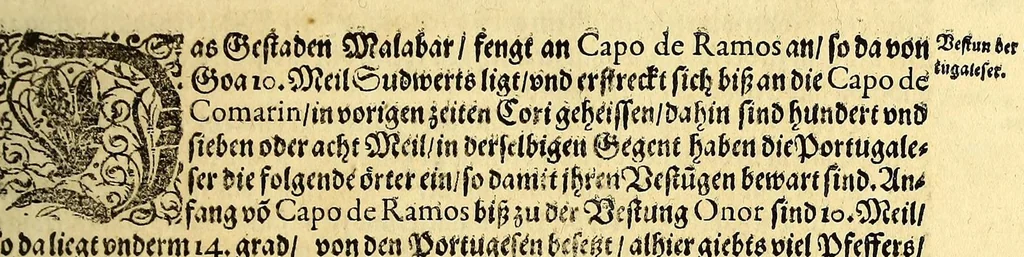An illustration from Ander Theil der Orientalischen Indien, Von allen Völckern, Insulen, Meerporten, fliessenden Wassern vnd anderen Orten, so von Portugal auss, lengst dem Gestaden Aphrica, biss in Ost Indien vnd zu dem Landt China, sampt andern Insulen zu sehen seind. : Beneben derenselben Aberglauben, Götzendienst vnd Tempeln, item von jren Sitten, Trachten, Kleidungen, Policeyordnung, vnd wie sie hausshalten, beid so viel die Portugesen, welche dam im Landt wohnen, vnd auch das inheimische Landvölcklein anlangt. Dessgleichen von der Residentz dess Spanischen Viceroys vnd anderer Spanier in Goa, item von allen Orientalischen, Indianischen Waaren vnd Kummerschafften: sampt deren Gewichten, Masen, Müntzen vnd ihrem Valor oder Wirdtgung., 1598, leaf 55