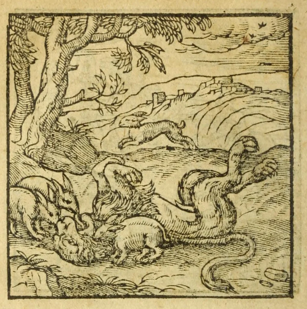 An illustration from Andreae Alciati V.C. Emblemata cvm Clavdii Minois I.C. commentariis ad postremam auctoris editionem auctis & recognitis, 1608, leaf 184