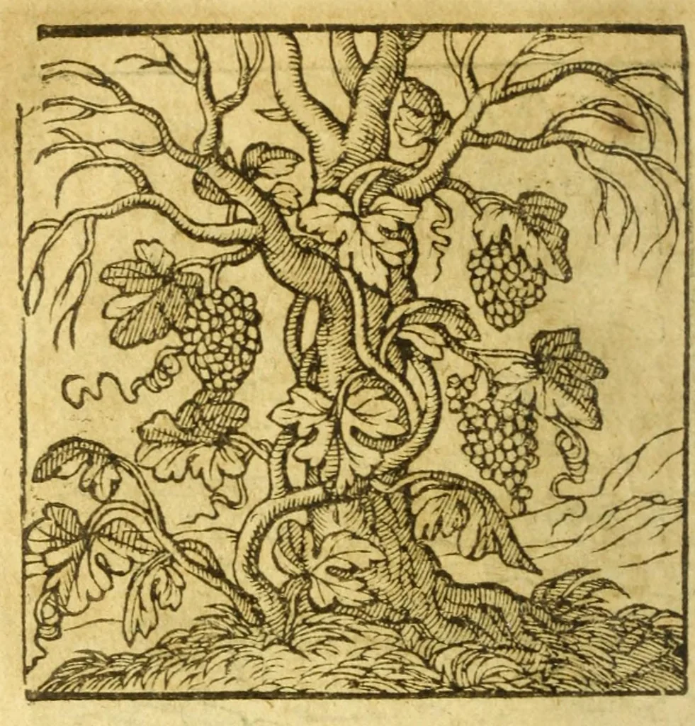 An illustration from Andreae Alciati V.C. Emblemata cvm Clavdii Minois I.C. commentariis ad postremam auctoris editionem auctis & recognitis, 1608, leaf 190