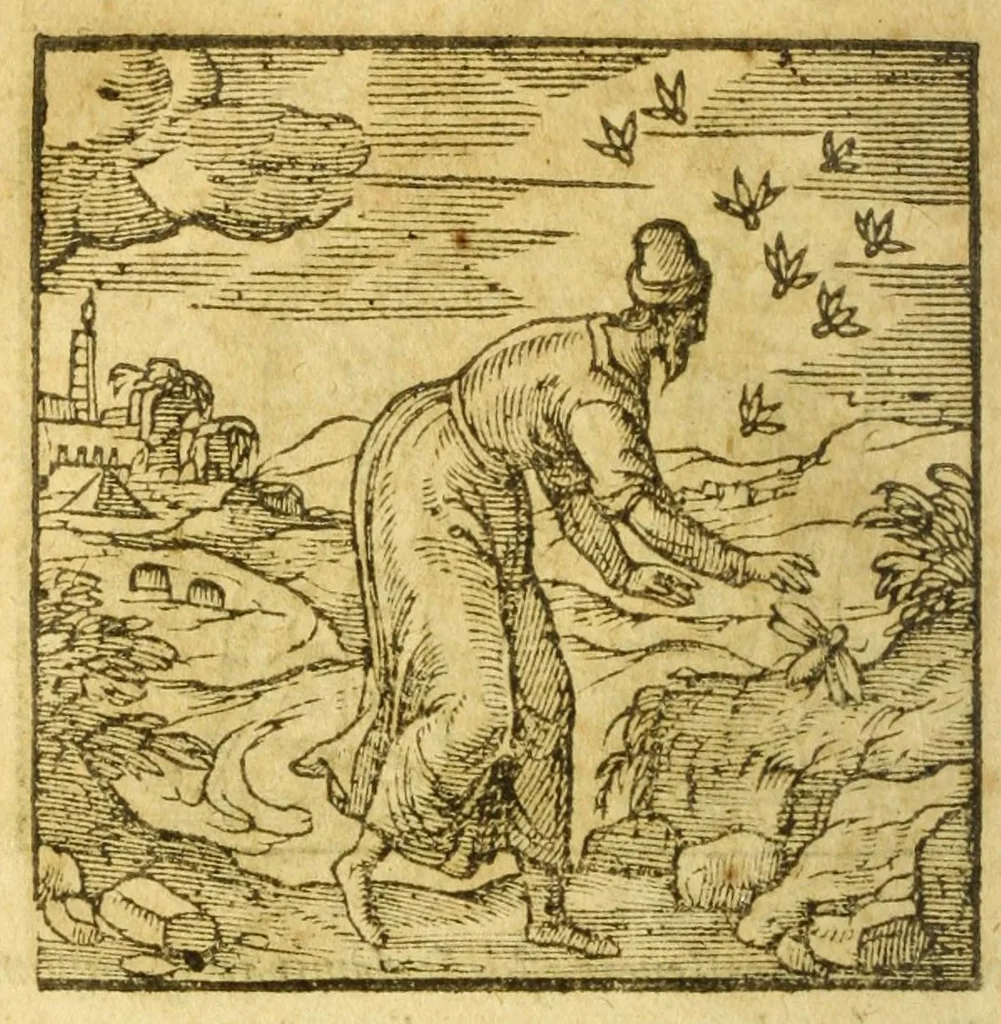 An illustration from Andreae Alciati V.C. Emblemata cvm Clavdii Minois I.C. commentariis ad postremam auctoris editionem auctis & recognitis, 1608, leaf 194