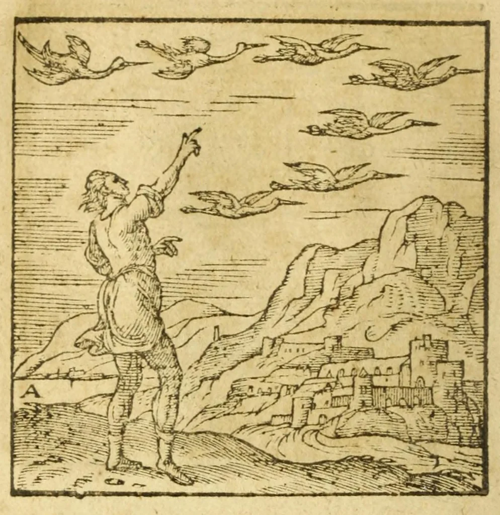 An illustration from Andreae Alciati V.C. Emblemata cvm Clavdii Minois I.C. commentariis ad postremam auctoris editionem auctis & recognitis, 1608, leaf 46