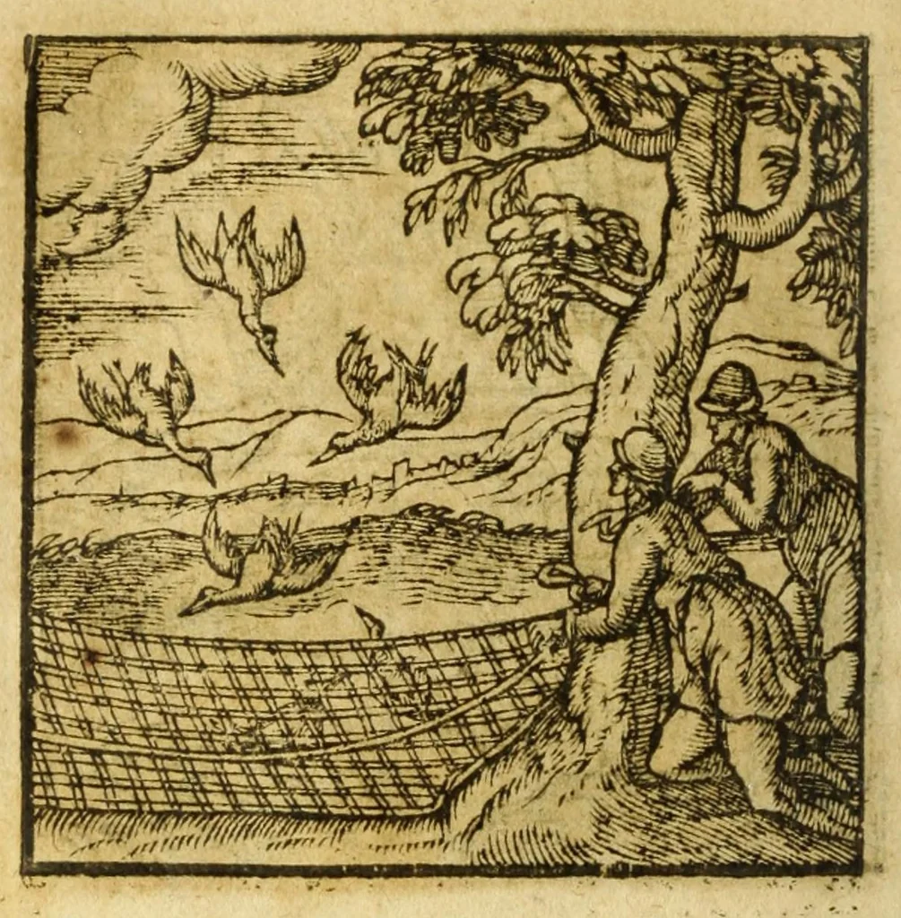 An illustration from Andreae Alciati V.C. Emblemata cvm Clavdii Minois I.C. commentariis ad postremam auctoris editionem auctis & recognitis, 1608, leaf 80