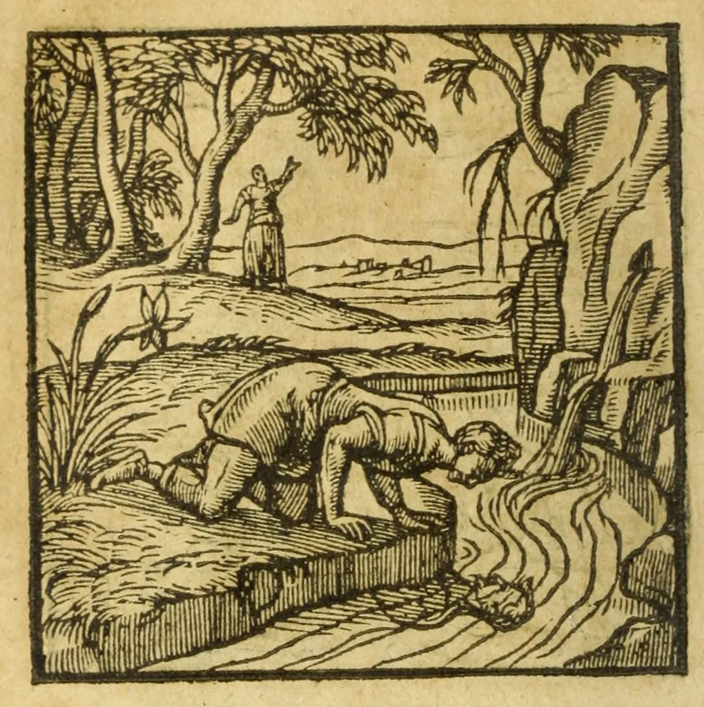 An illustration from Andreae Alciati V.C. Emblemata cvm Clavdii Minois I.C. commentariis ad postremam auctoris editionem auctis & recognitis, 1608, leaf 98