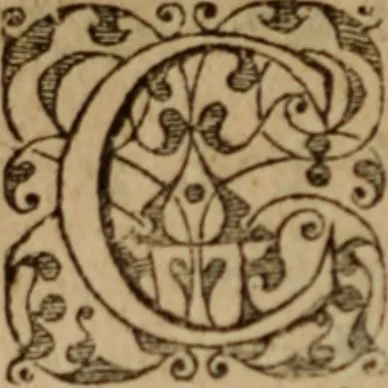 An illustration from Andreae Alciati ... De verborvm significatione libri IIII. Eiusdem in titulum XVI. lib. L. Digestorum commentarii, postrema hac editione quanta fieri potuit diligentia, collatione autographi, castigati, 1572, leaf 145