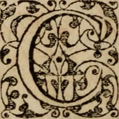 An illustration from Andreae Alciati ... De verborvm significatione libri IIII. Eiusdem in titulum XVI. lib. L. Digestorum commentarii, postrema hac editione quanta fieri potuit diligentia, collatione autographi, castigati, 1572, leaf 15