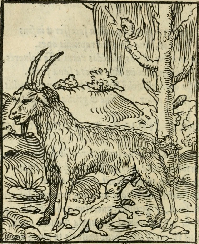 An illustration from Andreae Alciati emblematvm libellvs, 1536, leaf 101