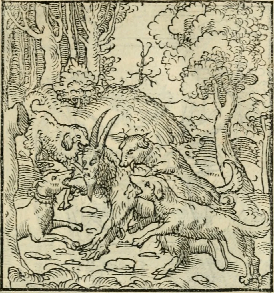 An illustration from Andreae Alciati emblematvm libellvs, 1536, leaf 104