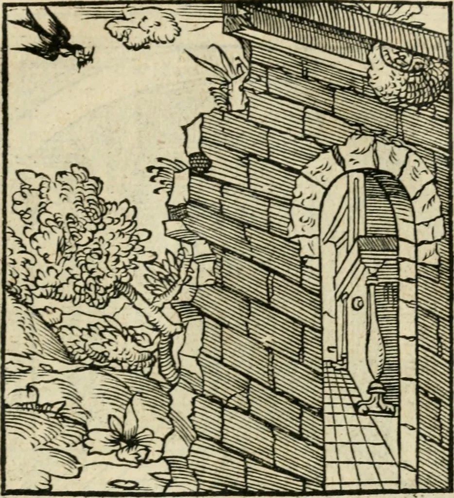 An illustration from Andreae Alciati emblematvm libellvs, 1536, leaf 110
