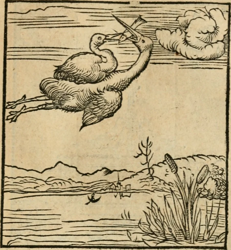 An illustration from Andreae Alciati emblematvm libellvs, 1536, leaf 14
