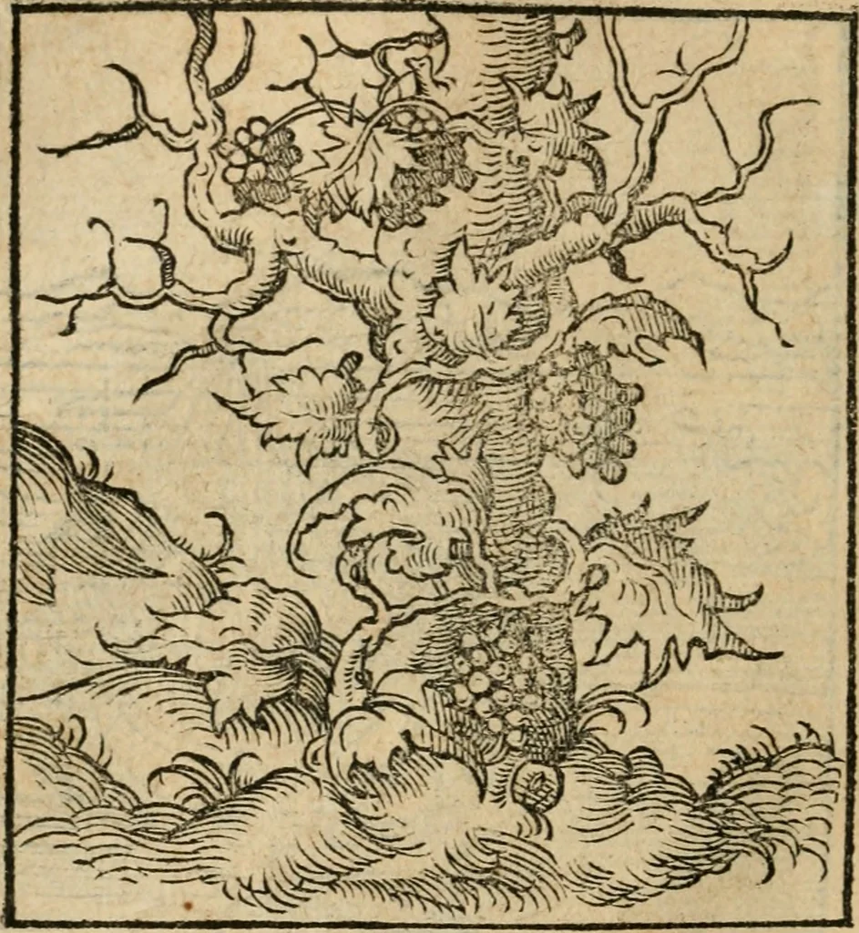 An illustration from Andreae Alciati emblematvm libellvs, 1536, leaf 21