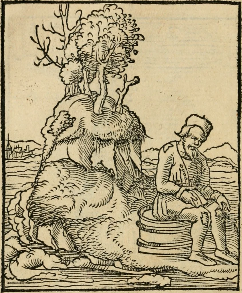 An illustration from Andreae Alciati emblematvm libellvs, 1536, leaf 23