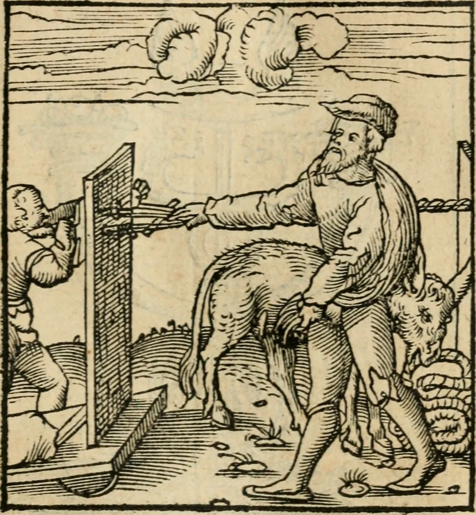 An illustration from Andreae Alciati emblematvm libellvs, 1536, leaf 26