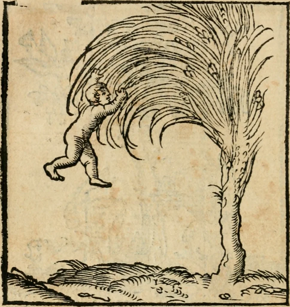 An illustration from Andreae Alciati emblematvm libellvs, 1536, leaf 33