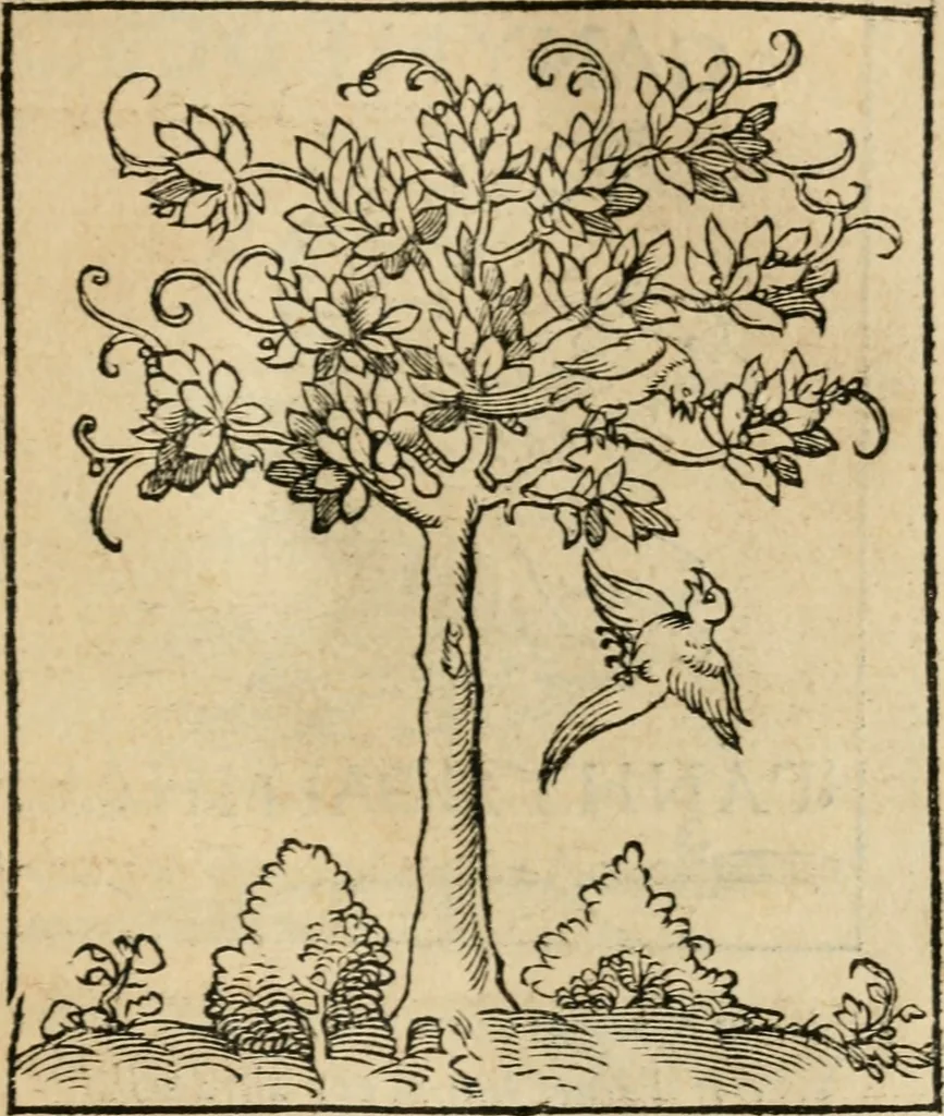 An illustration from Andreae Alciati emblematvm libellvs, 1536, leaf 40