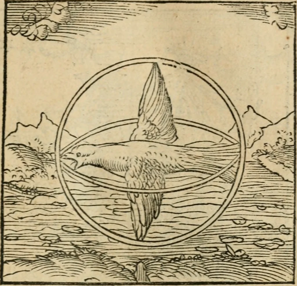 An illustration from Andreae Alciati emblematvm libellvs, 1536, leaf 42