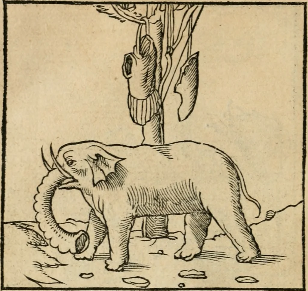 An illustration from Andreae Alciati emblematvm libellvs, 1536, leaf 45