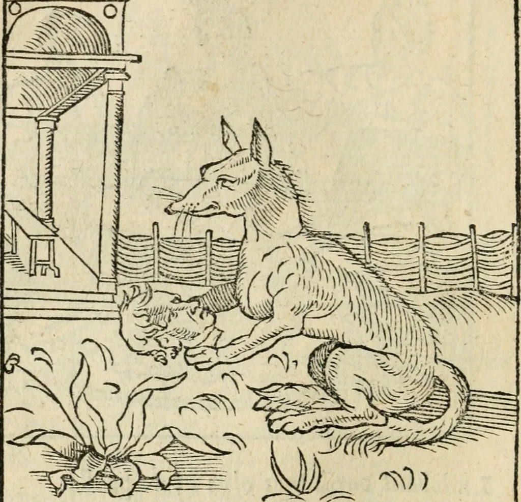 An illustration from Andreae Alciati emblematvm libellvs, 1536, leaf 57