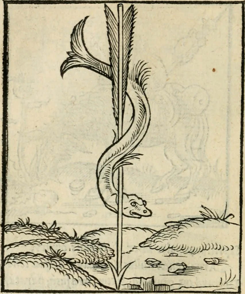 An illustration from Andreae Alciati emblematvm libellvs, 1536, leaf 61