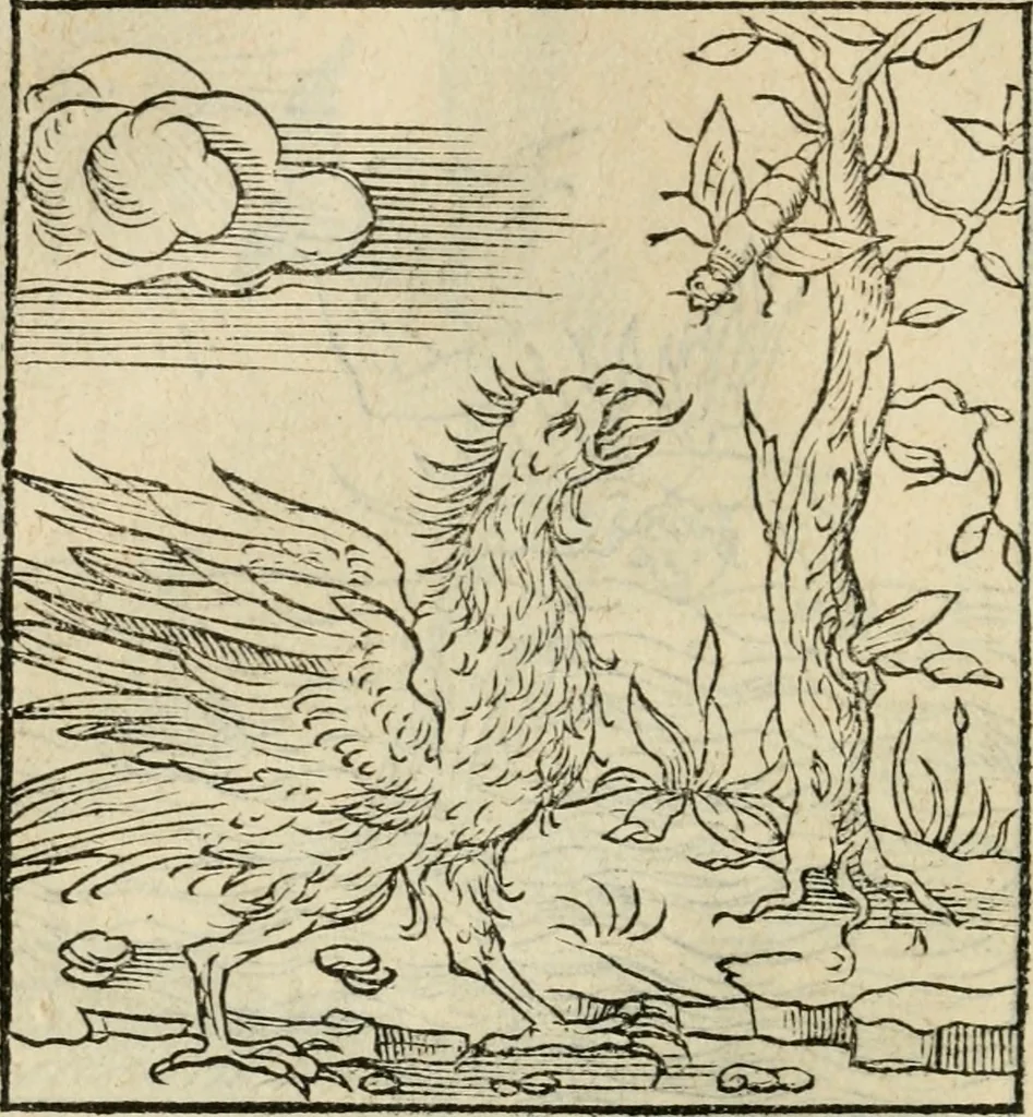 An illustration from Andreae Alciati emblematvm libellvs, 1536, leaf 63