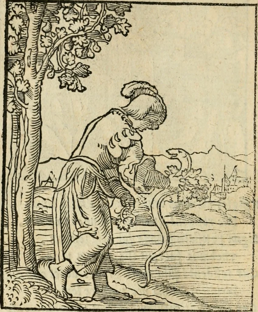An illustration from Andreae Alciati emblematvm libellvs, 1536, leaf 69