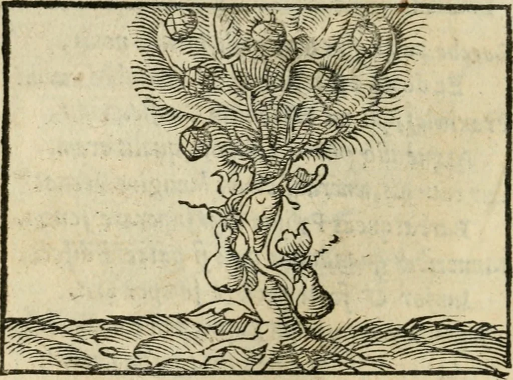 An illustration from Andreae Alciati emblematvm libellvs, 1536, leaf 77