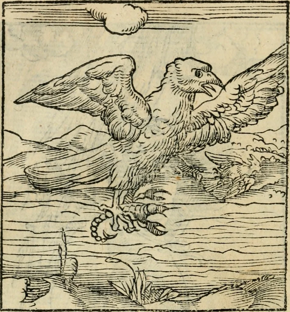 An illustration from Andreae Alciati emblematvm libellvs, 1536, leaf 83
